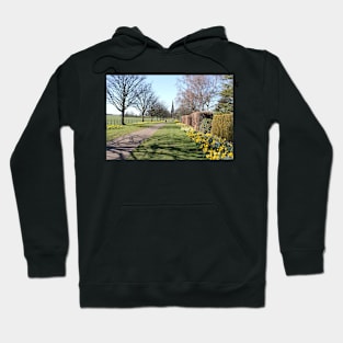 Daffodils in full bloom in Wentworth, Rotherham Hoodie